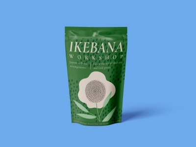 高端整套毕设文创品牌周边VI提案效果展示贴图样机PSD设计素材包装袋