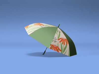 高端整套毕设文创品牌周边VI提案效果展示贴图样机PSD设计素材雨伞