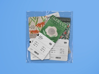 高端整套毕设文创品牌周边VI提案效果展示贴图样机PSD设计素材标签