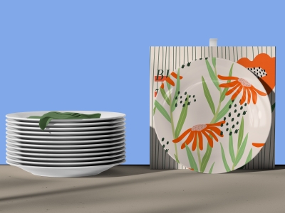 高端整套毕设文创品牌周边VI提案效果展示贴图样机PSD设计素材盘子