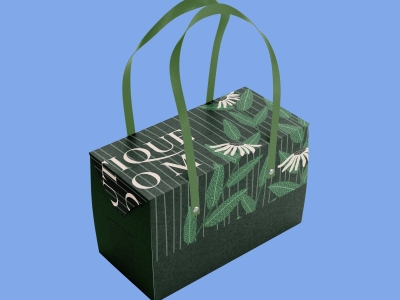 高端整套毕设文创品牌周边VI提案效果展示贴图样机PSD设计素材包装盒手提