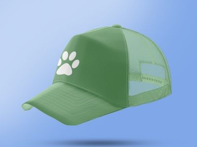 高端整套毕设文创品牌周边VI提案效果展示贴图样机PSD帽子