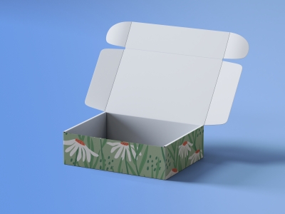 高端毕设文创品牌周边VI提案效果展示贴图样机PSD包装盒