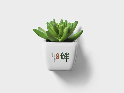 生鲜水果蔬菜店品牌VI样机服装门头LOGO效果展示贴图PSD设计素材多肉花盆