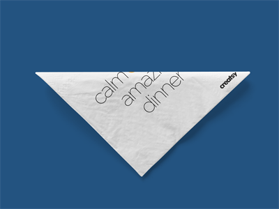 餐巾纸纸巾样机