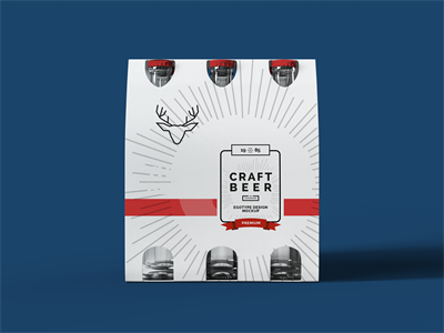 啤酒瓶包装样机