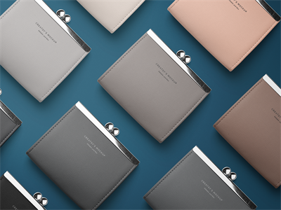 可爱小钱包样机