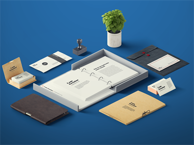 办公场景 时尚VI样机