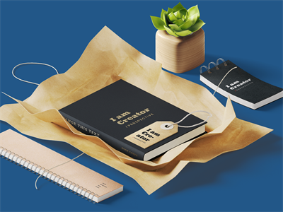 办公场景 时尚VI样机