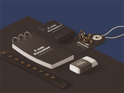 办公场景 时尚VI样机