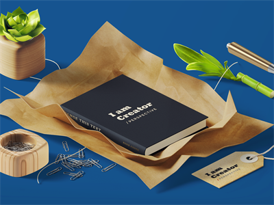 办公场景 时尚VI样机