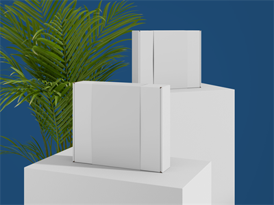 快递打包盒纸盒包装盒设计作品贴图ps样机素材场景展示效果模板