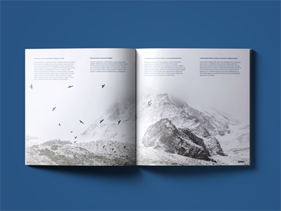 正方形画册杂志书籍样机