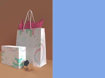 纸袋样机包装盒样机