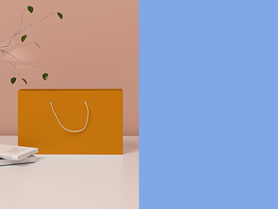 手提袋纸袋样机