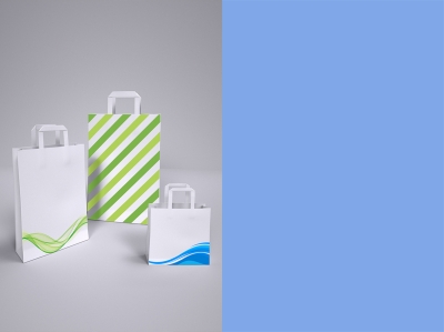 手提袋纸袋样机