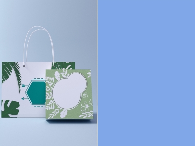 手提袋纸袋样机