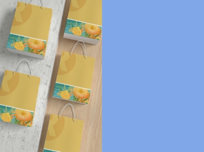 包装袋纸袋打包袋样机手提袋