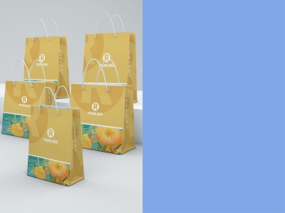 手提袋打包袋包装袋样机