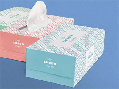 抽纸样机抽纸包装样机