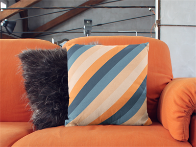 抱枕靠枕U形枕坐垫样机