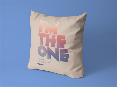 抱枕靠枕U形枕坐垫样机