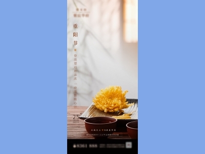 重阳节插画