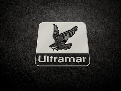 logo展示场景样机logo样机