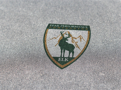 logo展示场景样机logo样机