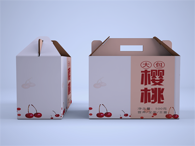 纸盒包装盒礼包礼盒样机水果箱零食箱过年礼盒样机