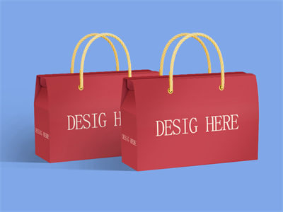 手提礼盒包装盒礼包礼盒样机水果箱零食箱过年礼盒样机