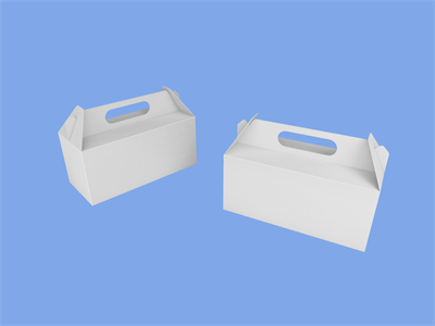 空白礼盒礼包礼盒样机水果箱零食箱过年礼盒样机