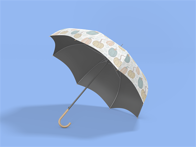 雨伞样机