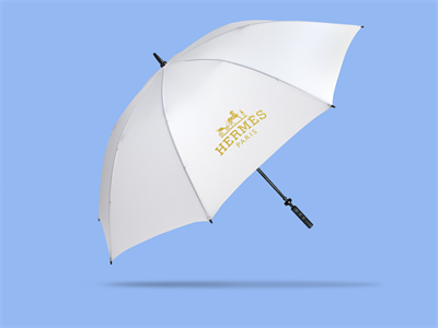 雨伞样机