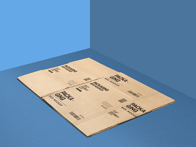 纸箱纸盒包装盒样机拆开的包装盒