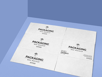 纸箱纸盒包装盒样机拆开的包装盒