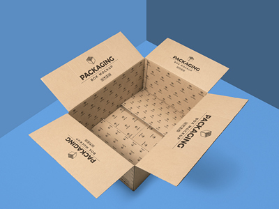 纸箱纸盒包装盒样机