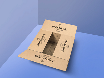 纸箱纸盒包装盒样机