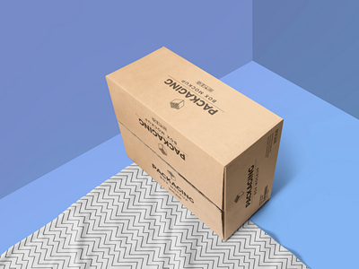 纸箱纸盒包装盒样机