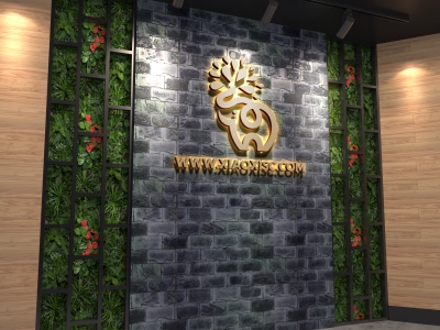 前台公司企业门牌背景墙logo墙办公室会议室logo场景样机