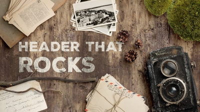 户外场景配图复古相机信封明信片松果青苔