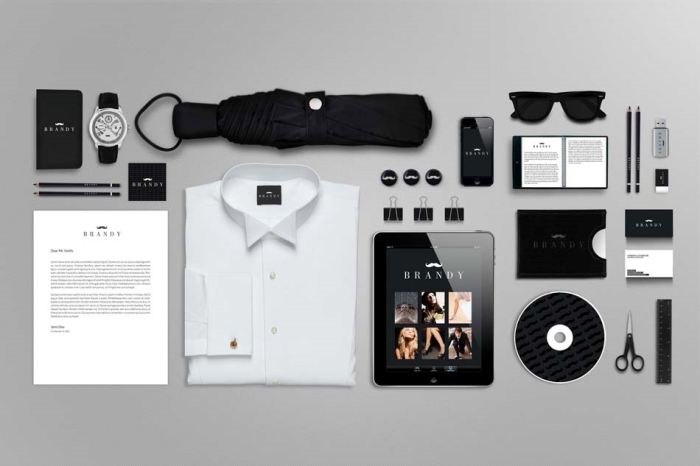 整套12款VI样机logo展示样机雨伞衬衣手表优盘光盘夹子燕尾夹铅笔剪刀T恤红酒手提袋