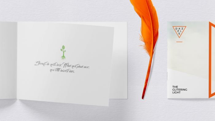 羽毛笔画册样机