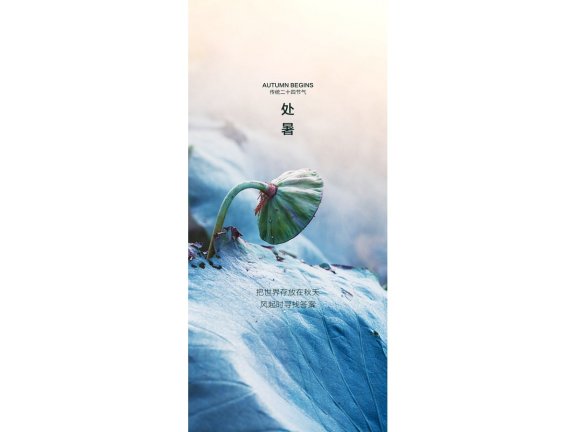 处暑海报二十四节气海报锚点创意分享