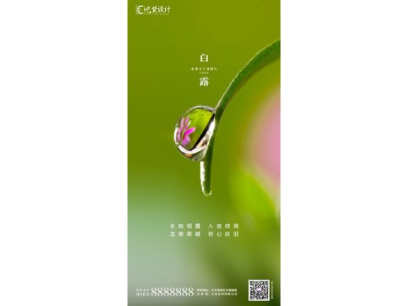 白露节气海报二十四节气海报