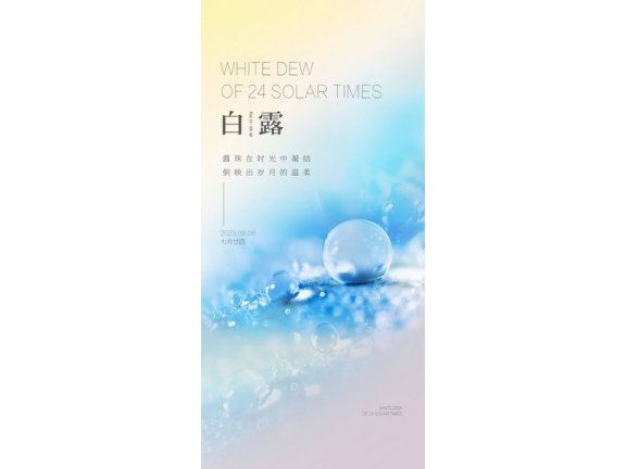 白露节气海报二十四节气海报