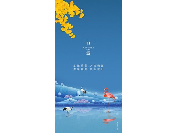 白露节气海报二十四节气海报