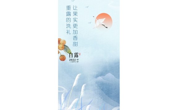 白露节气海报二十四节气海报