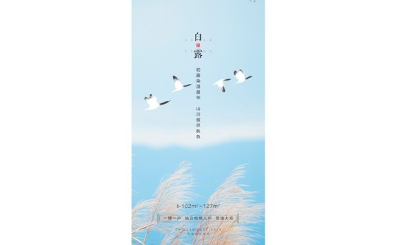 白露节气海报二十四节气海报