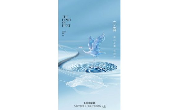 白露节气海报二十四节气海报